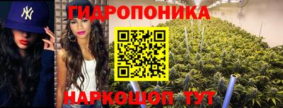 прущие крисы Пугачёв