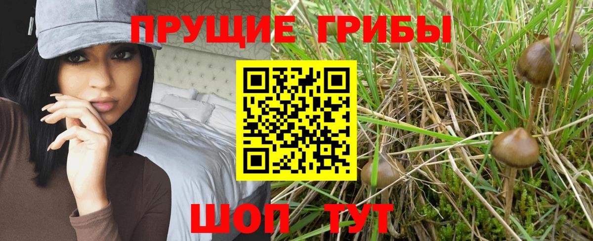 Псилоцибиновые грибы ЛСД  Вход с VPN  Сургут 