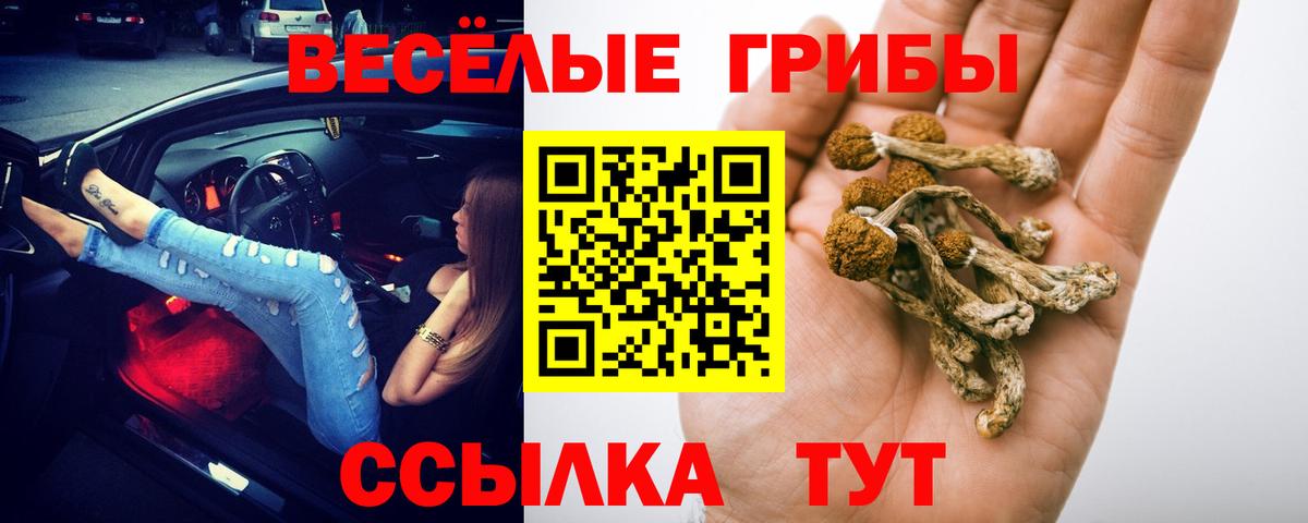 Галлюциногенные грибы GOLDEN TEACHER Сургут